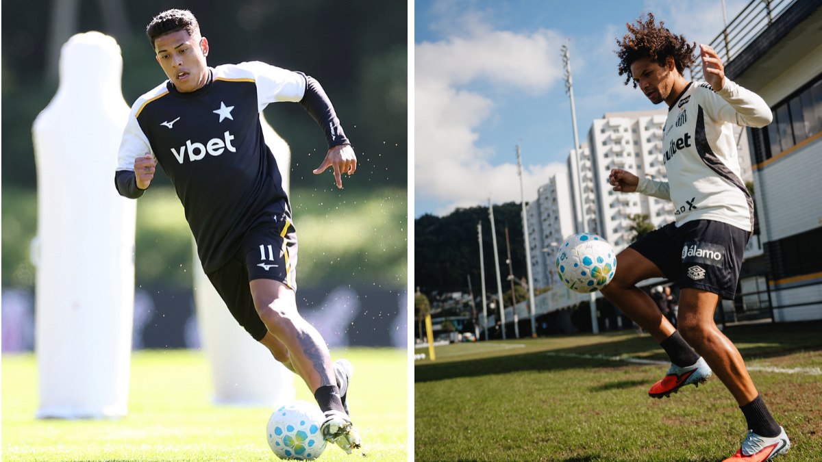 Botafogo e Santos buscam vitória no retorno: palpite e onde ver
