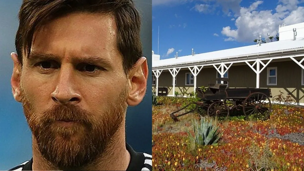Gado, arroz e erva-mate: conheça a fazenda de R$ 103 milhões de Messi, que é quase do tamanho de 10 campos de futebol