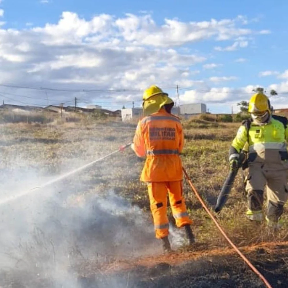 Vídeo: incêndio em cidade mineira destrói área de 48 campos de futebol