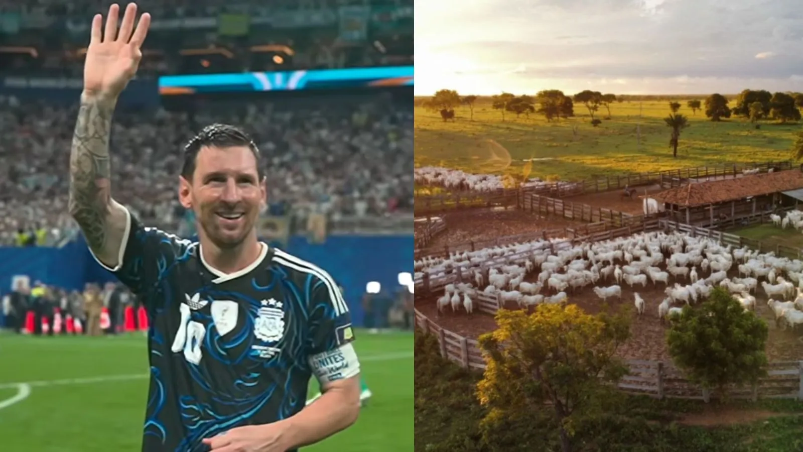 Família de Messi tem fazenda de R$ 103 milhões que é maior do que cidades brasileiras