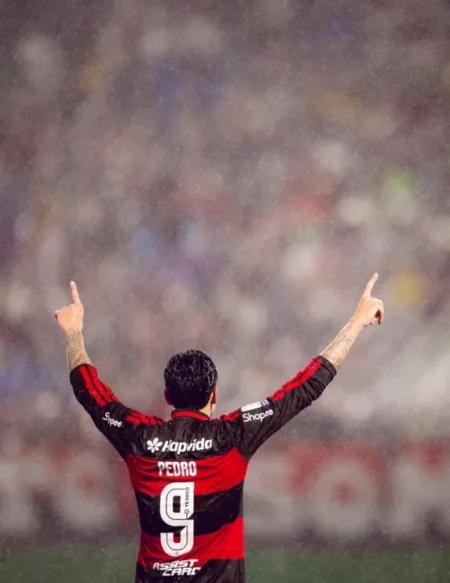 Flamengo goleia Chapecoense e volta ao Brasileirão com vitória